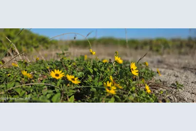 3223 S Atlantic Avenue #405, Cocoa Beach, FL 32931 - Photo 38