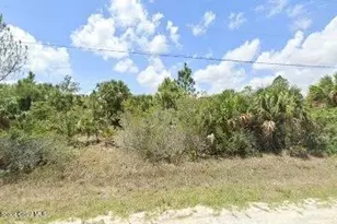 2966 SW Libby Ave SW, Palm Bay, FL 32908 - Photo 1