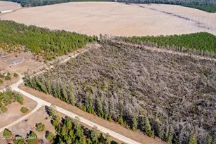 0000 NE Vacant NE River Trace Trail, Lee, FL 32059 - Photo 1