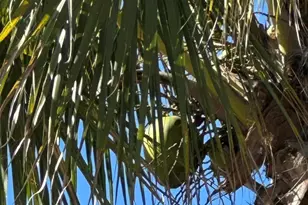 6570 S Floridana Ave S, Melbourne Beach, FL 32951 - Photo 10