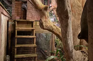 138 Terry St, Indian Harbour Beach, FL 32937 - Photo 16