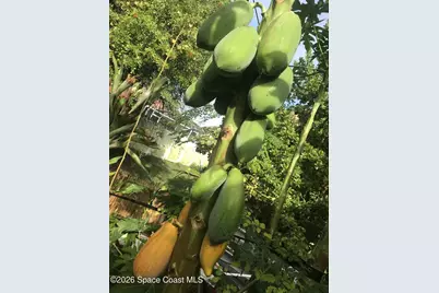 450 Hazel Street, Sebastian, FL 32958 - Photo 12