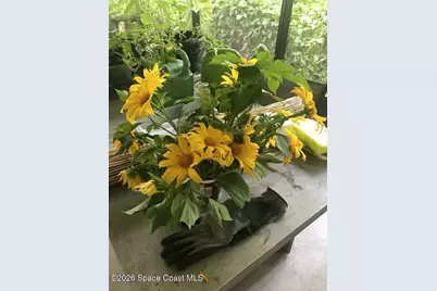 450 Hazel Street, Sebastian, FL 32958 - Photo 22