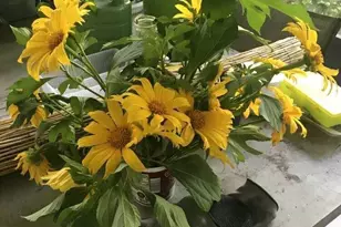 450 Hazel St, Sebastian, FL 32958 - Photo 22