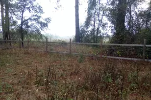 44721 Forest View Rd, Deland, FL 32720 - Photo 4