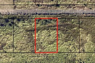 1332 Elne St SW, Palm Bay, FL 32908 - Photo 1