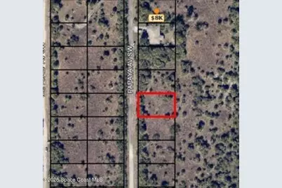 3159 Papaya Avenue SW, Palm Bay, FL 32908 - Photo 2