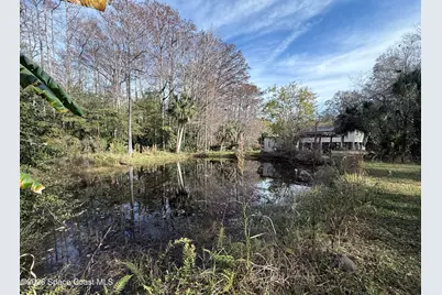 4590 Hog Valley Road, Mims, FL 32754 - Photo 24