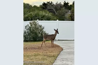 1530 Lisa Avenue, Fernandina Beach, FL 32034 - Photo 68