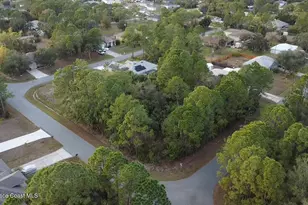 3286 Troutdale Ave SE, Palm Bay, FL 32909 - Photo 1