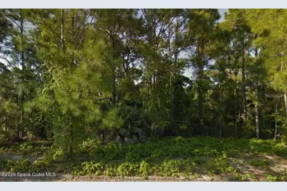 1541 Sarnia Street NW, Palm Bay, FL 32907 - Photo 1