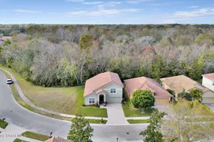 4126 Fitzroy Reef Dr, Mims, FL 32754 - Photo 52