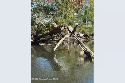 540 Elliott Drive, Merritt Island, FL 32952 - Photo 12