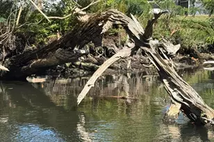 540 Elliott Dr, Merritt Island, FL 32952 - Photo 12