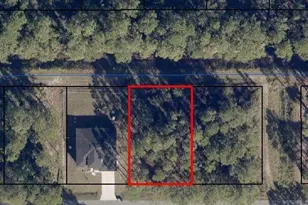 491 Tobias Street SE, Palm Bay, FL 32909 - Photo 1