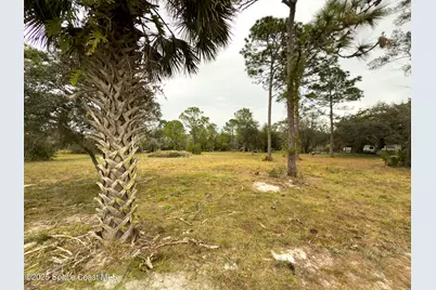 5000 Gandy Road, Mims, FL 32754 - Photo 134