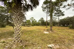 5000 Gandy Rd, Mims, FL 32754 - Photo 134