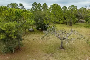 5000 Gandy Rd, Mims, FL 32754 - Photo 122