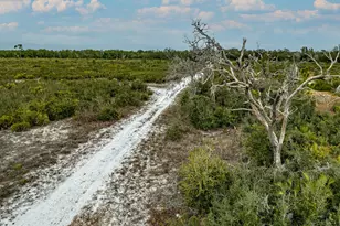 5000 Gandy Rd, Mims, FL 32754 - Photo 108