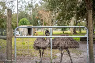 5000 Gandy Rd, Mims, FL 32754 - Photo 102