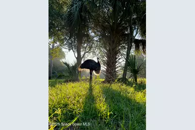 5000 Gandy Road, Mims, FL 32754 - Photo 90