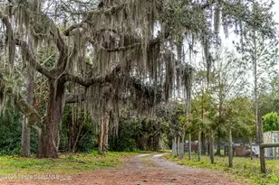 5000 Gandy Rd, Mims, FL 32754 - Photo 2