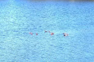 4550 Bellaluna Dr, Melbourne, FL 32904 - Photo 48