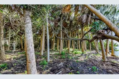 2940 Maritime Lane, Merritt Island, FL 32953 - Photo 6