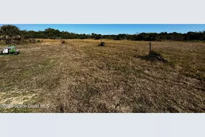 0 Grantline Road, Mims, FL 32754 - Photo 8