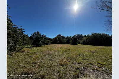 0 Grantline Road, Mims, FL 32754 - Photo 14