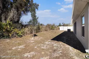 1041 Tupelo Cir, Cocoa, FL 32926 - Photo 24