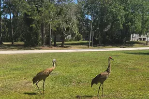 5425 James Ln, Mims, FL 32754 - Photo 48