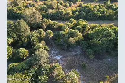 719 Steward Street SW, Palm Bay, FL 32908 - Photo 10