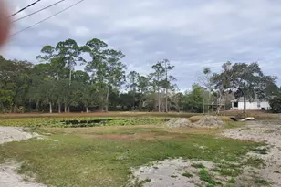 3950 Pine St, Cocoa, FL 32926 - Photo 8