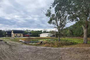 3950 Pine St, Cocoa, FL 32926 - Photo 10