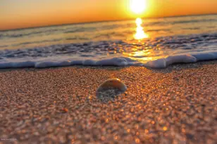 2700 N Hwy A1A, Indialantic, FL 32903 - Photo 16