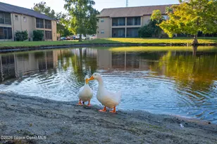 101 Summer Pl, Merritt Island, FL 32953 - Photo 30