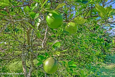 32801 N Hwy 441 #Lot 28, Okeechobee, FL 34972 - Photo 24