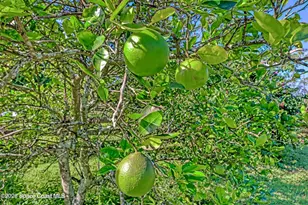 32801 N Hwy 441, Okeechobee, FL 34972 - Photo 24