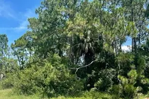 171 Shalimar Ave NW, Palm Bay, FL 32907 - Photo 1