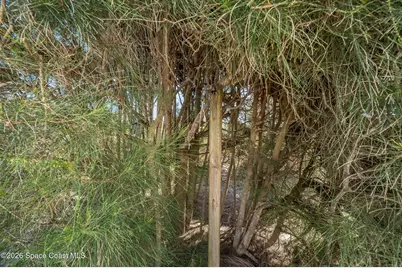 8108 Presidential Court, Cape Canaveral, FL 32920 - Photo 68