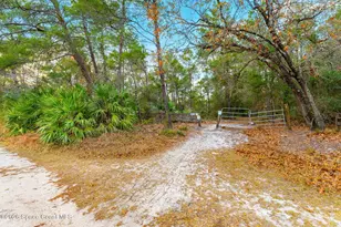 1305 Pemberton Trail, Malabar, FL 32950 - Photo 74