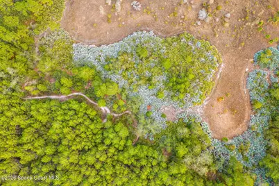 1305 Pemberton Trail, Malabar, FL 32950 - Photo 68