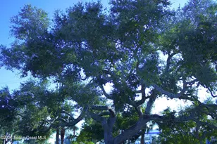 178 Long Point Rd, Cape Canaveral, FL 32920 - Photo 24