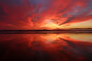 204 Adams Ave, Cape Canaveral, FL 32920 - Photo 44