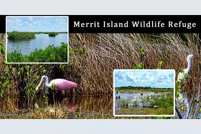 204 Adams Avenue #11, Cape Canaveral, FL 32920 - Photo 48