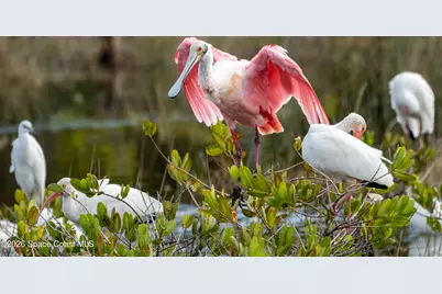 1715 N Merrimac Drive, Merritt Island, FL 32952 - Photo 34