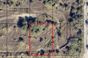 951 Dorinda St SW, Palm Bay, FL 32908 - Photo 1