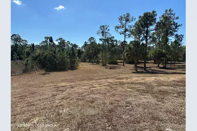 14650 87th Street, Fellsmere, FL 32948 - Photo 50