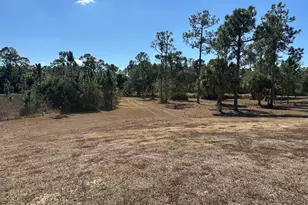 14650 87th St, Fellsmere, FL 32948 - Photo 50